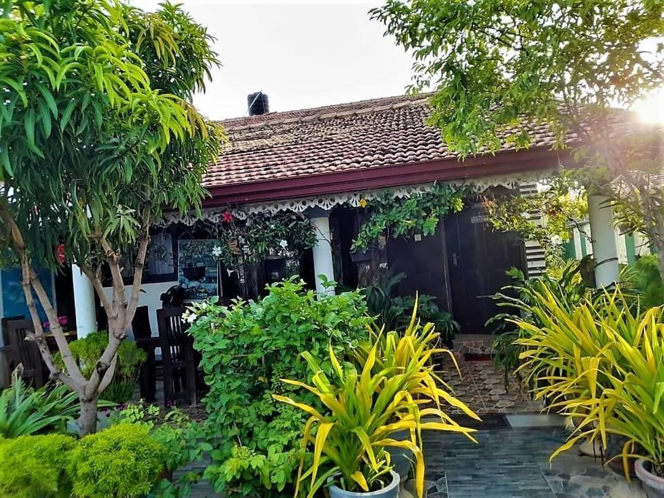 Alexandra Family Villa Negombo Exteriör bild